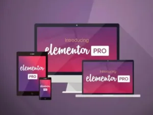 Elementor Pro